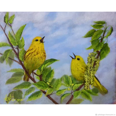 Весенние птицы рисунки - 72 фото