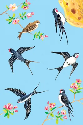 Птицы Весны — стоковая векторная графика и другие изображения на тему Птица  - Птица, Силуэт, Векторная графика - iStock