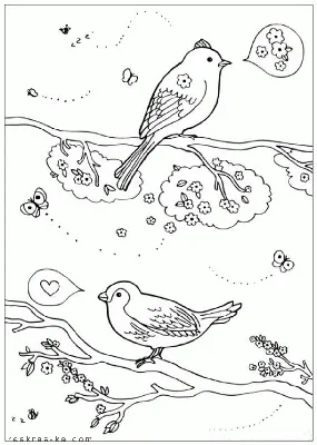 Весенние птицы | Пикабу