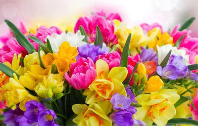 Картинки на рабочий стол весна цветы - 65 фото
