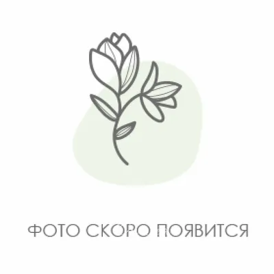 Витаминки с бесплатной доставкой по Москве, цена 3100 руб. ❁ ArenaFlowers