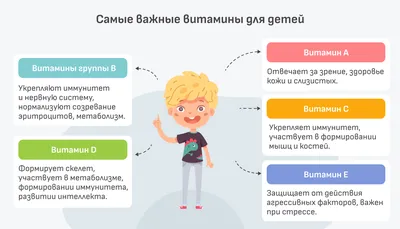 Инфографика Витамины А В С Д Е К Рр В Продукте — стоковая векторная графика  и другие изображения на тему Антиоксидант - iStock