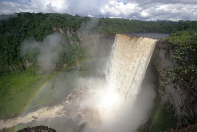 Изображение Павлины на фоне водопадов Птицы Узкие вертикальные