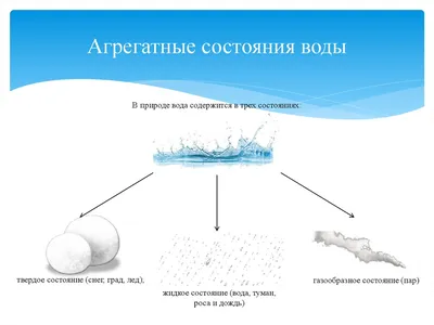 ЭКСПЕРИМЕНТ №11. Может ли почва очистить воду? Почва и растения как фильтр  для воды