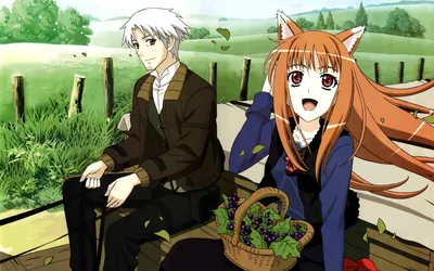 Фото Хоро / Horo из аниме Волчица и Пряности / Spice and Wolf