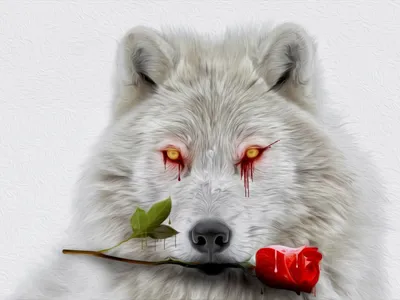 Файл:Волк и роза.jpg — wiki.obr55.ru
