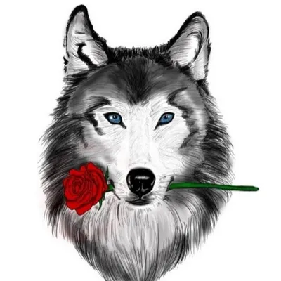 Мужское худи Волк с розой (Волки) за 2490 ₽ на заказ с принтом надписью  купить в Print Bar (VLF-789020) ✌