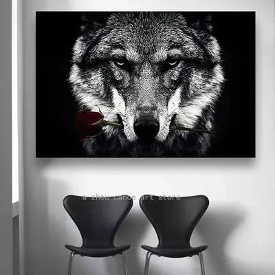 Волчья морда рисунок - 57 фото