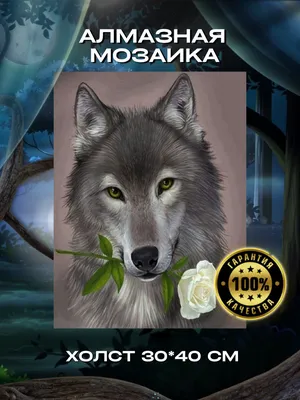 Чехол MyPads волк с розой для Infinix Hot 20i, купить в Москве, цены в  интернет-магазинах на Мегамаркет