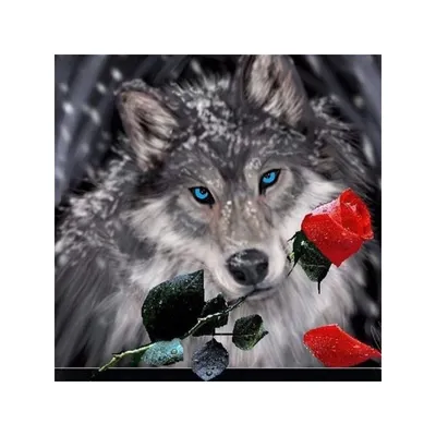 Волк с розой (круглый) 40x40 cm @ Freetimehobby