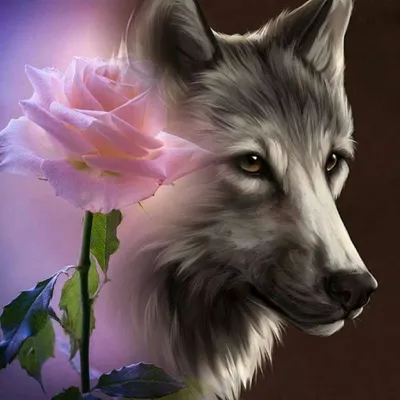 Тату олд-скул волк с розой на предплечье!