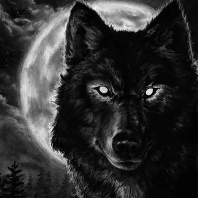 Черный волк с желтыми глазами - 78 фото