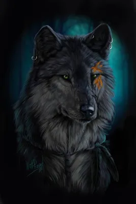 Серый волк рисунок - 35 фото