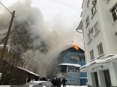 Лось - символ Вологды теперь в центре города | Прогулки с Девчулей  Конфеткиной | Дзен