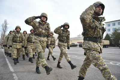 СВО: российские военные разгромили роту ВСУ