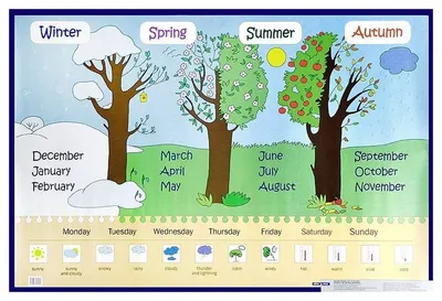 Разрезанные картинки «Времена года» - Скачать шаблон | Раннее развитие