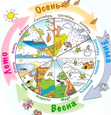 Учим месяца и времена года для детей в картинках - месяца года по порядку  для детей