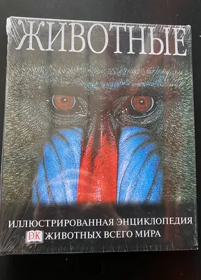 Карта мира - это карта всего мира с обозначением всех его объектов» —  создано в Шедевруме