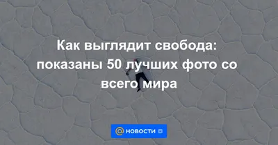 Фотоподборка дня: лучшие снимки насекомых со всего мира — Нож