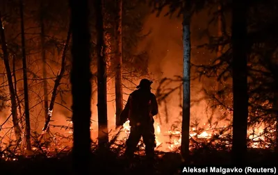 В Кемерове появился тропический рай с бабочками со всего мира - KP.RU