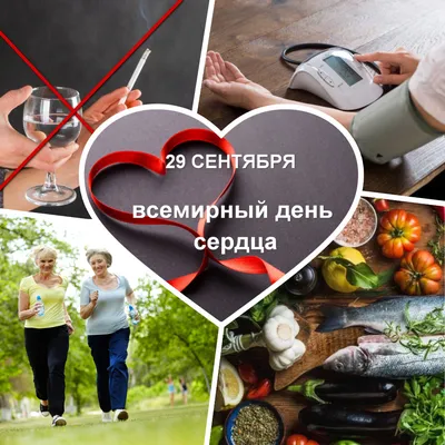 29 сентября – Всемирный день сердца – Пинская центральная поликлиника