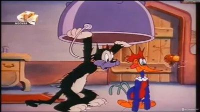 Худи мужской Вуди Вудпекер (Woody Woodpecker) Кенгуру (9225-2871) Черный  (ID#1509776092), цена: 1695 ₴, купить на Prom.ua