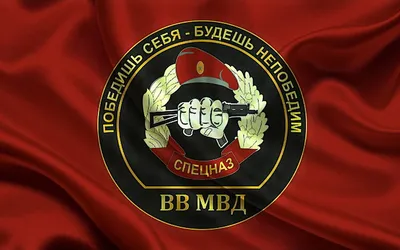 Файл:Нагрудный знак ВВ МВД России «За отличие в службе».jpg — Википедия