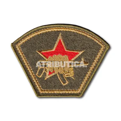 Юбилей отметила первая авиационная эскадрилья внутренних войск МВД России -  AmurMedia.ru