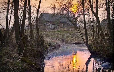 Реалистичное,фото высокого разрешения …» — создано в Шедевруме