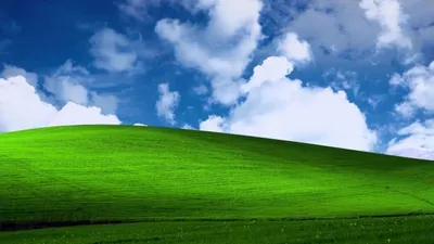 Windows XP wallpaper creator unveils stunning phone screensavers | London  Evening Standard | Evening Standard