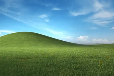 The Story behind the Famous Windows XP Desktop Background | Artsy