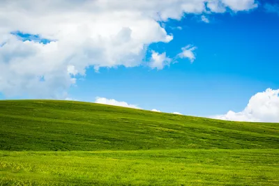 Man finds exact location of infamous Windows XP background