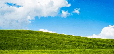 Windows XP is Dead: Not Every Company Got the Memo