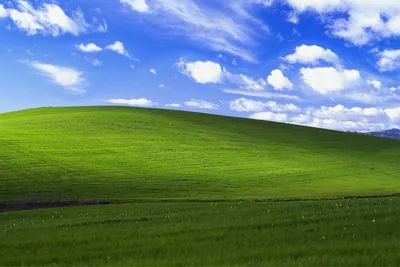 Microsoft Windows XP on New Computers