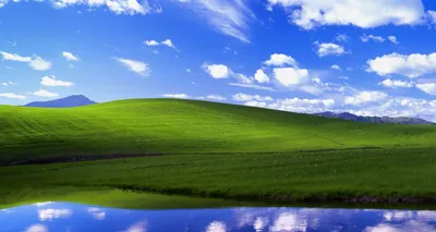 Iconic Windows XP background is photo of Sonoma County hillside - ABC7 San  Francisco