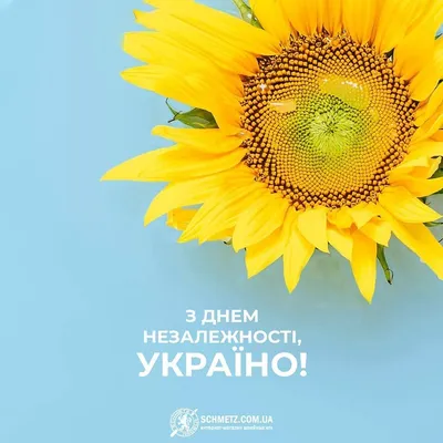 З днем Незалежності України! , ~ I n c o g n i t o ~, 24 августа 2022 г. —  Динамо Киев от Шурика