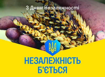 Поздравления с Днем Независимости Украины 2023 - картинки, открытки -  Lifestyle 24
