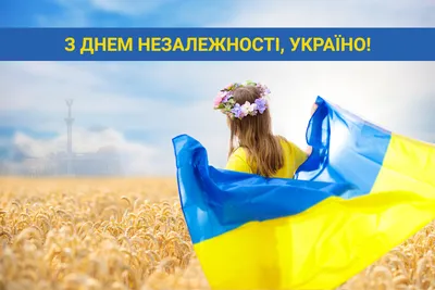 З Днем Незалежності України! | Фонд соціального захисту осіб з інвалідністю