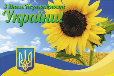 Вітання з Днем Незалежності України від компанії «Наукові Публікації»