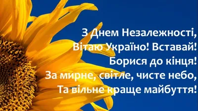 День Независимости Украины 2022 – поздравления в картинках, открытках и  стихах