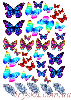 Вафельні метелики картинка