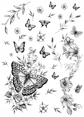 Фотообої Етюд з метеликами купити на стіну • Еко Шпалери