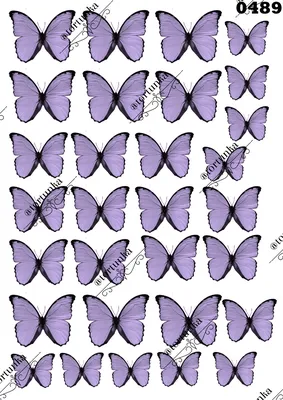 Вафелька картинка з дівчатами та метеликами