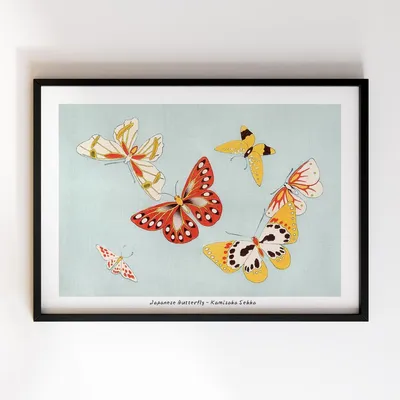Стокове фото Лаванда З Метеликами — Завантажте зображення зараз - Метелик  (комаха), Квітка, Лаванда - iStock
