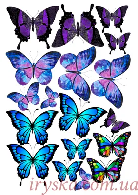 Вафельні картинки метелики купити