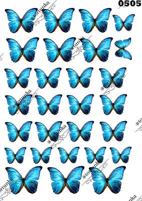 Картина по номерам Путешествие з бабочками , Raskraski, GX44624 - описание,  отзывы, продажа | CultMall