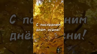 Открытки и гифки про осень 2024 - скачайте на Davno.ru