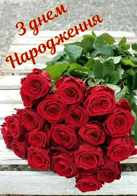 Pin by Valentina on З днем народження! | Red roses, Best roses, Beautiful  roses