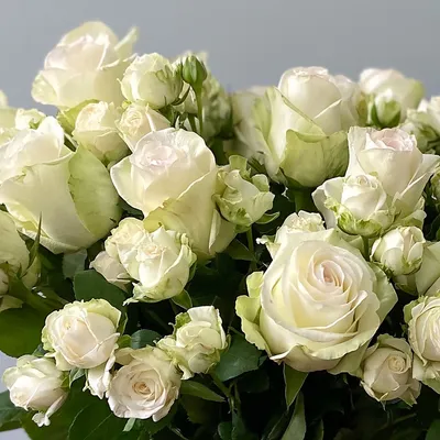 Картинки по запросу вітання з днем народження | Букет из розовых роз,  Розовые розы, Красивые розы