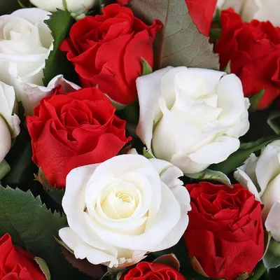 Букет из 31 белой микс розы - заказать и купить цветы с доставкой | Donpion